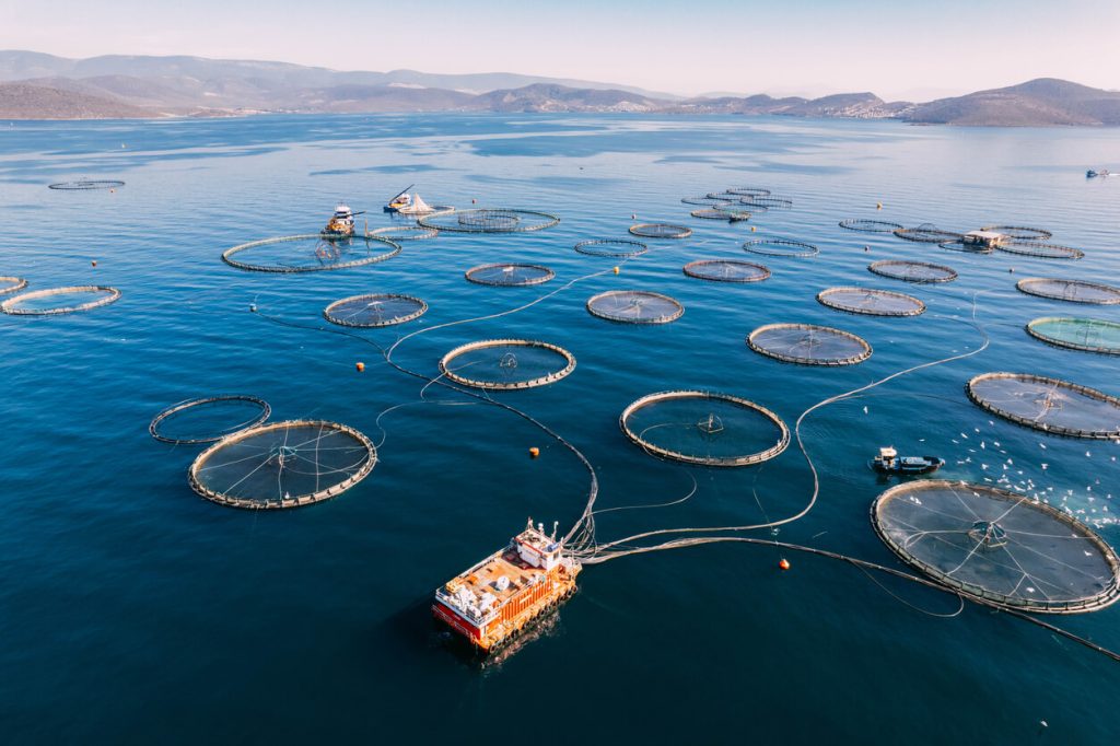 an aerial view of a fish farm in the ocean