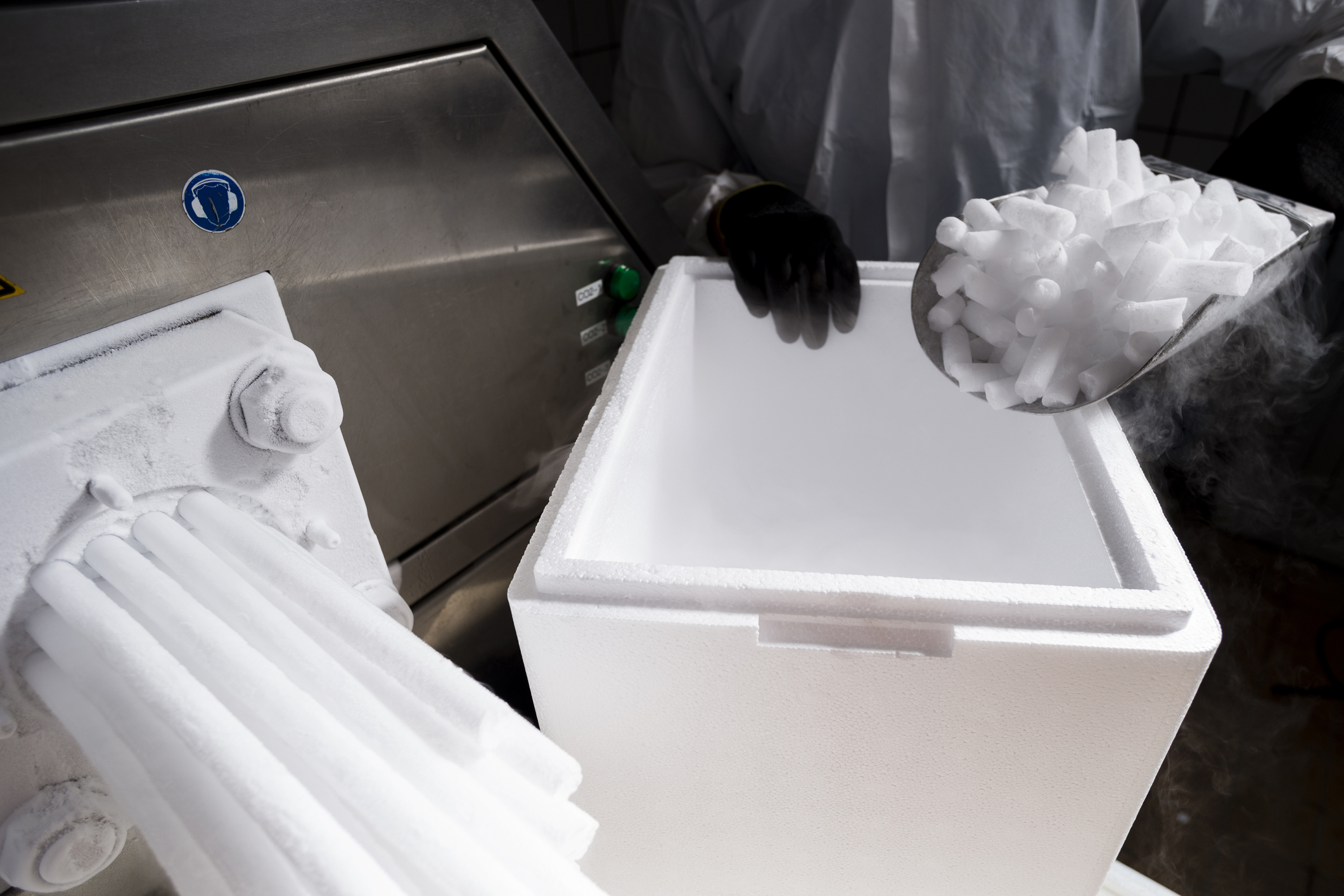 a person dumping dry ice into a styrofoam box